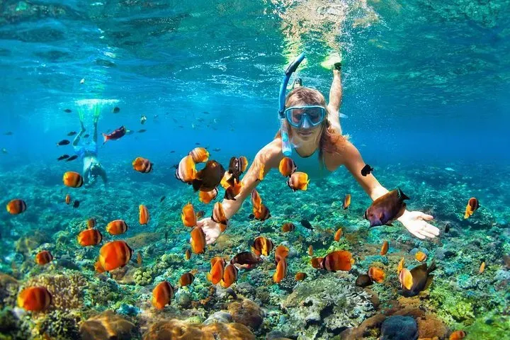 Lombok Snorkling in Gili | Lombok Private Villa